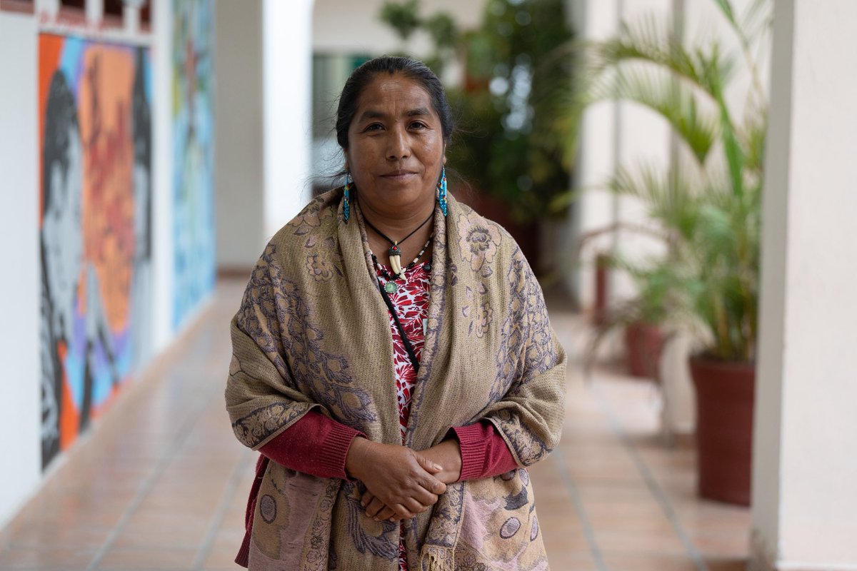 Lizeth Galván Cortés tweet media