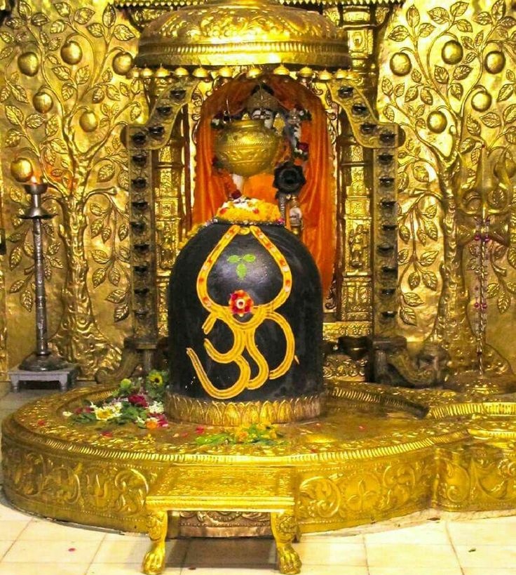 हर हर महादेव का नारा, सोमनाथ में शिव हमारा है, स्वर्ण मंदिर की छाया प्यारी, भोलेनाथ की महिमा न्यारी,
भक्तों की हर पीड़ा हारे।
ॐ नमः शिवाय, हर हर महादेव।