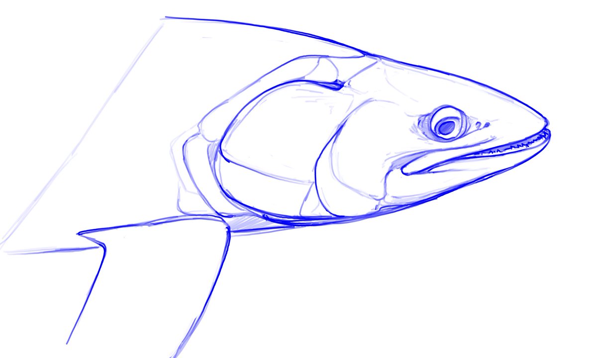 Sky Jung is Boiling Exopalaemon tweet media