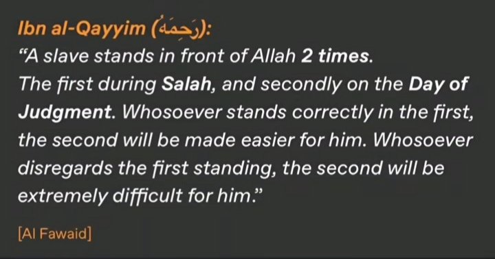 deeñ (@deenarmani_) on Twitter photo 