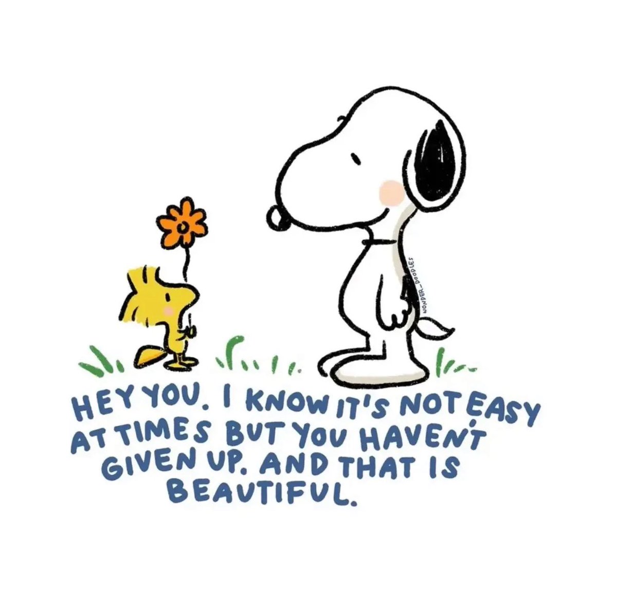 Snoopy (@snoopyb047) on Twitter photo 