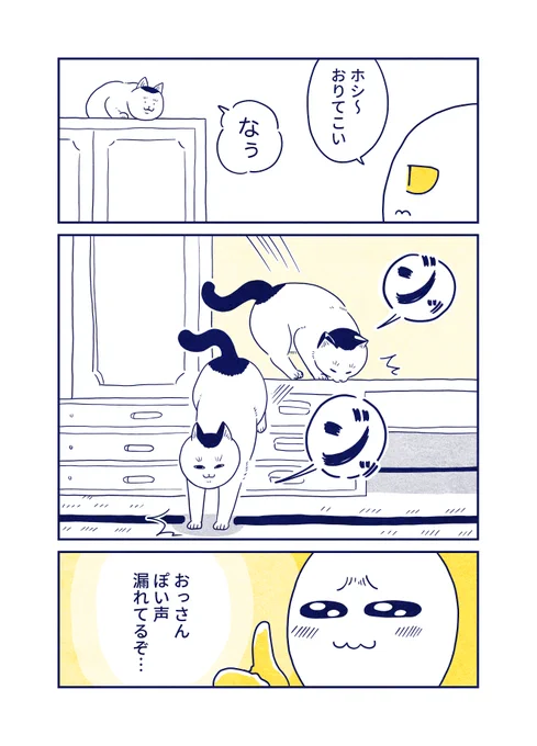 猫が着地するときのやつ 