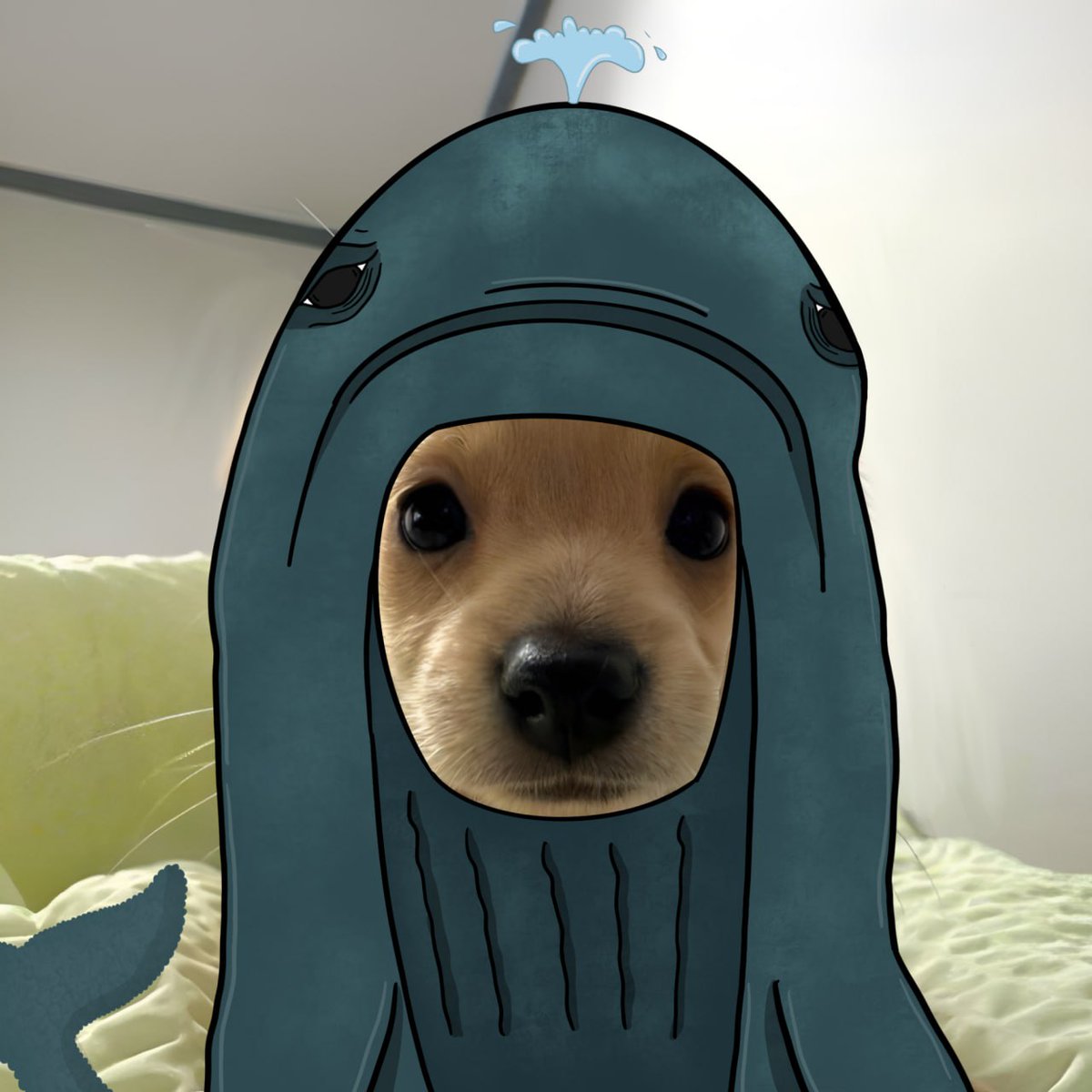 gm, I luv whales and whales luv me.. but.. only 10k buy?