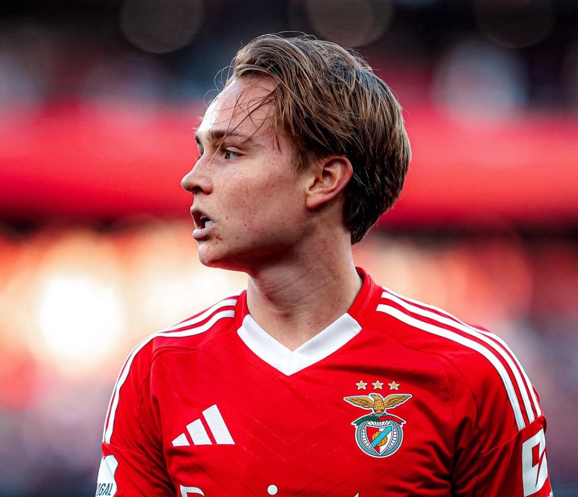 FabrizioRomano's tweet photo. 🚨🔵⚪️ EXCL: Como have opened talks to sign Andreas Schjelderup from Benfica as priority target.

Italian side want to try advance for 21 year old Norwegian gem; Benfica already rejected several approaches in January from European top clubs. https://t.co/DwJOPl48ND