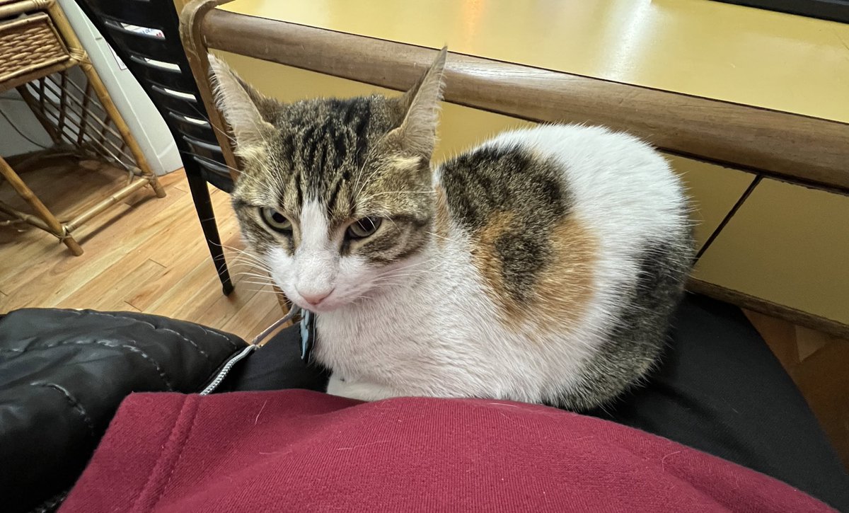 Laburar con estufita❤️