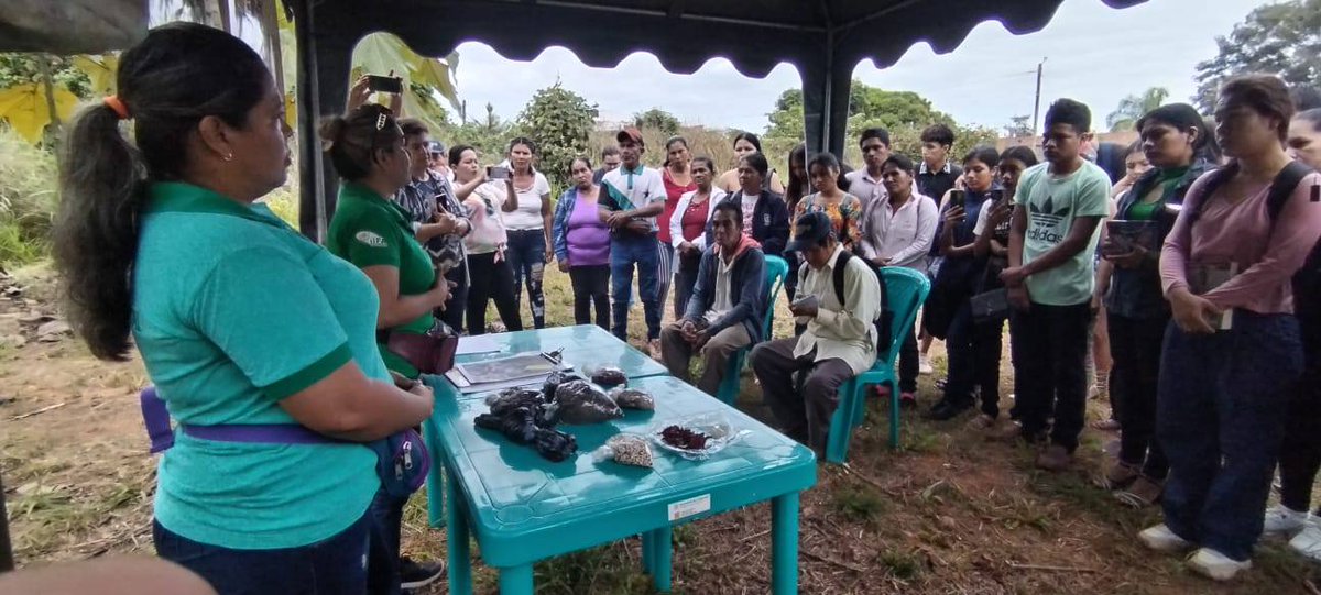 MaraAnglicaTor5's tweet photo. RUTA DE LAS CIENCIAS AMAZÓNICAS en la Universidad Autónoma del Beni "José Balliviam" https://t.co/o8zC5bfc8H