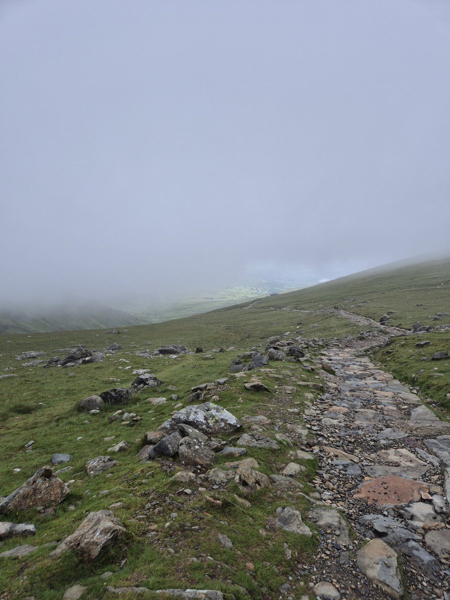 smallbeanpregx2's tweet image. Cloud