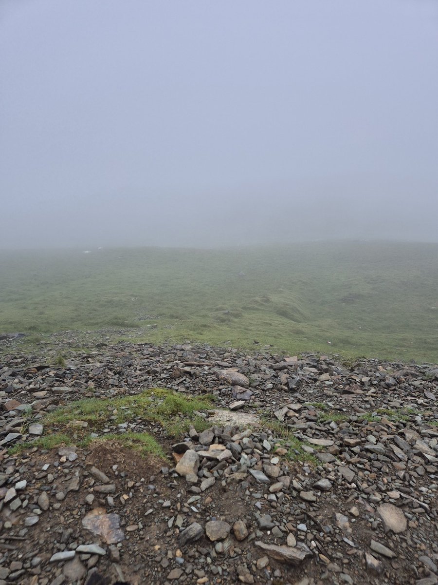 smallbeanpregx2's tweet image. Cloud