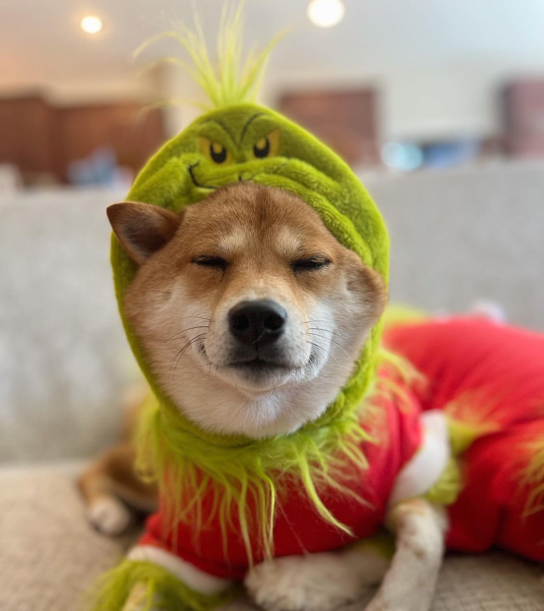 狗急VPN，支持ChatGPT、高速稳定不卡顿，不限流量放心用～goj123.com/app/t20.html（复制到浏览器中打开）