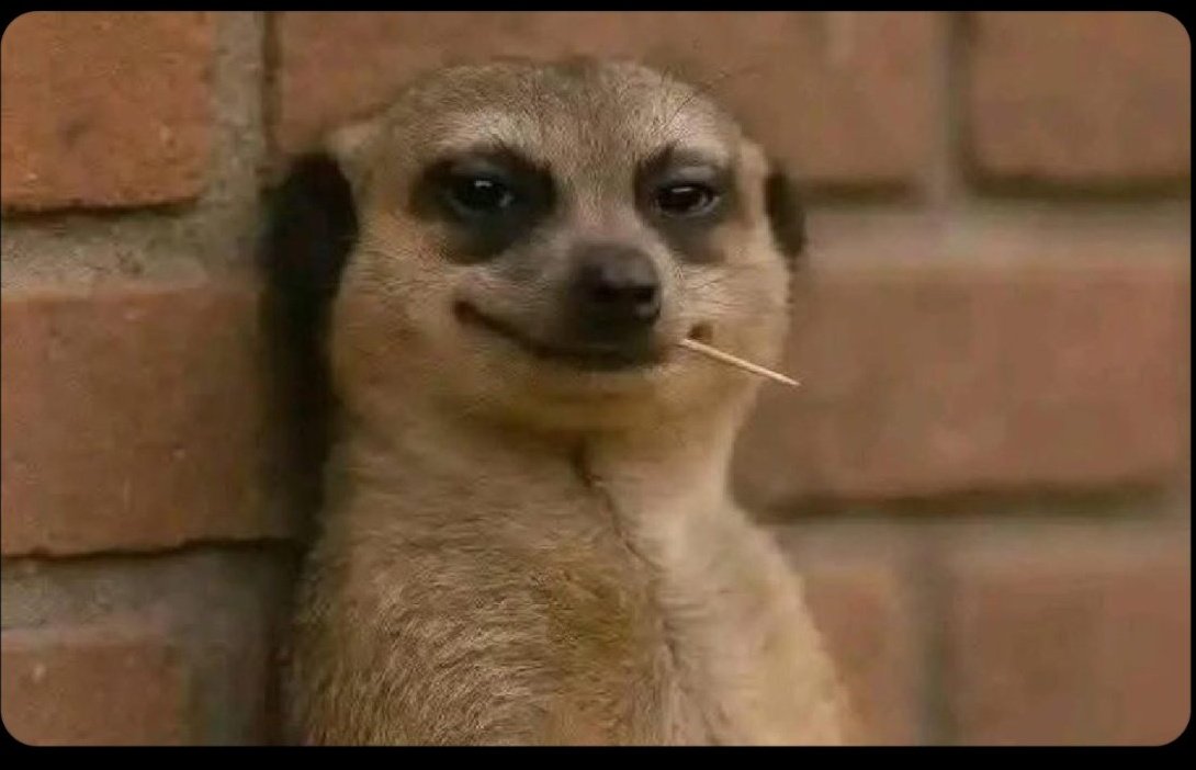 He sold his palm for 1.6 $H

What a pity