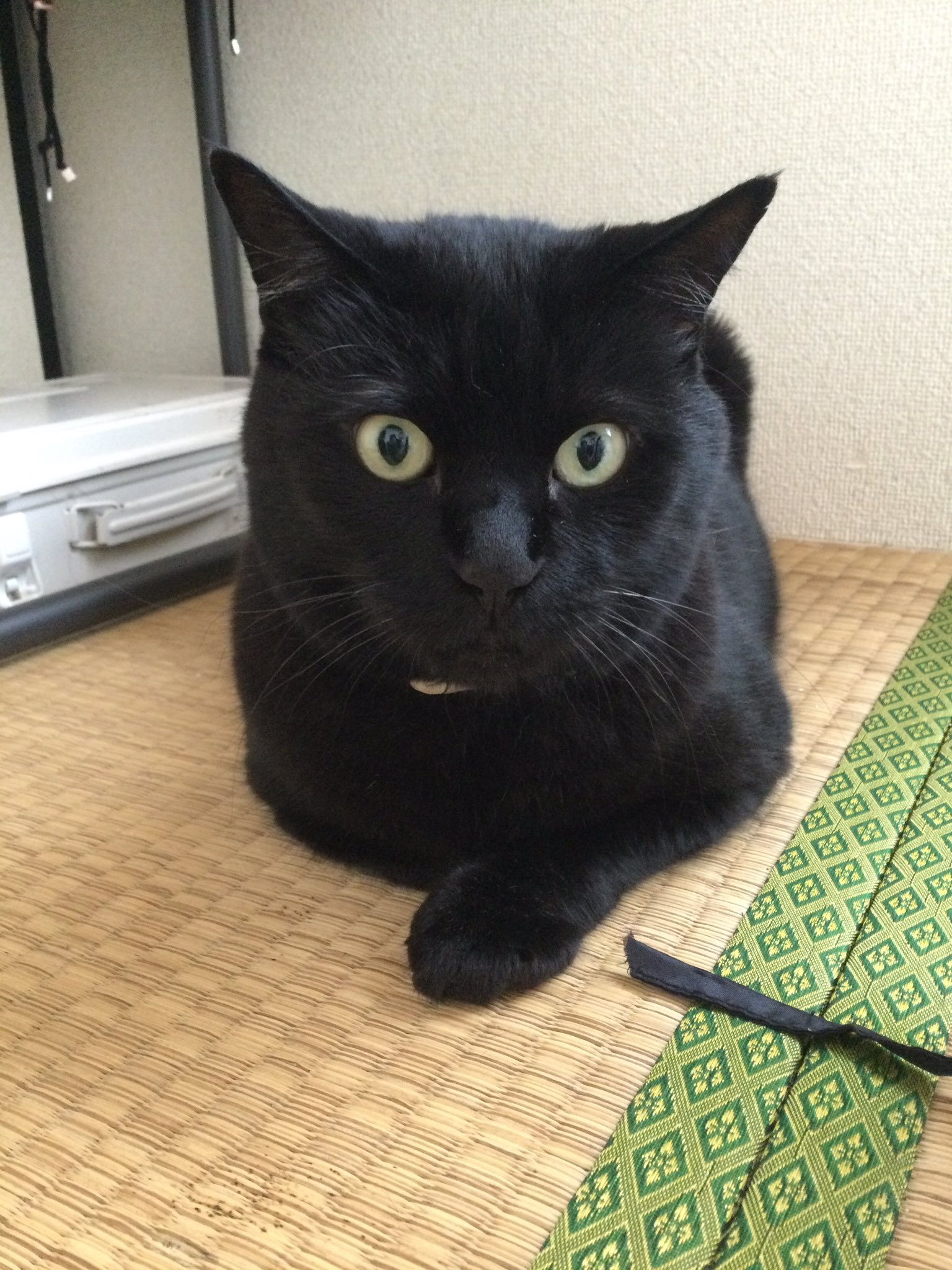 【半額】 黒猫はじめました。 on X:  ノート・メモ帳