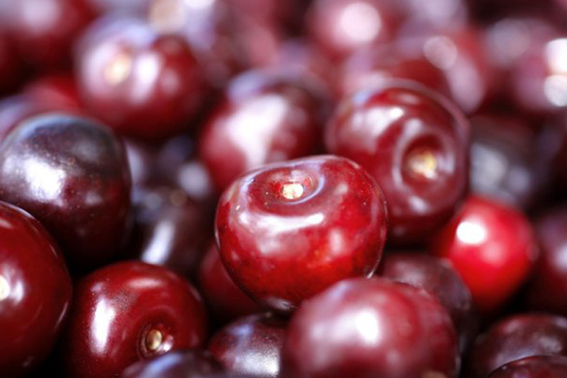 REVISTAFYH's tweet image. Arranca la certificación de las #picotas del #Jerte con una previsión de 3.000 Tn

Por el momento, se han certificado las #cerezas de las variedades #Burlat y #Navalinda, las más tempranas del valle, y se ha comenzado con la certificación de la #Van.

fyh.es/arranca-la-cer…