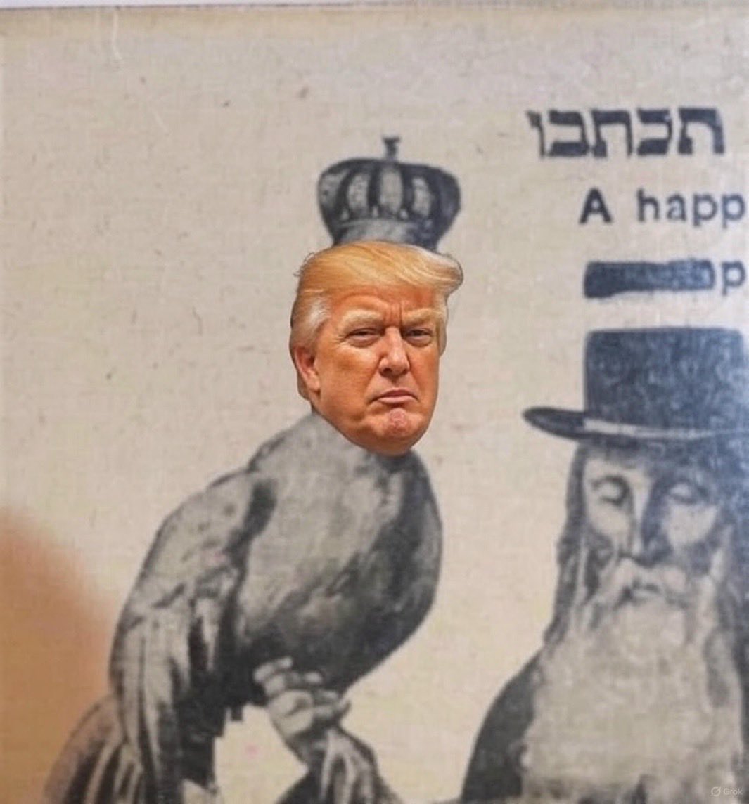 tadgh_dc's tweet image. 