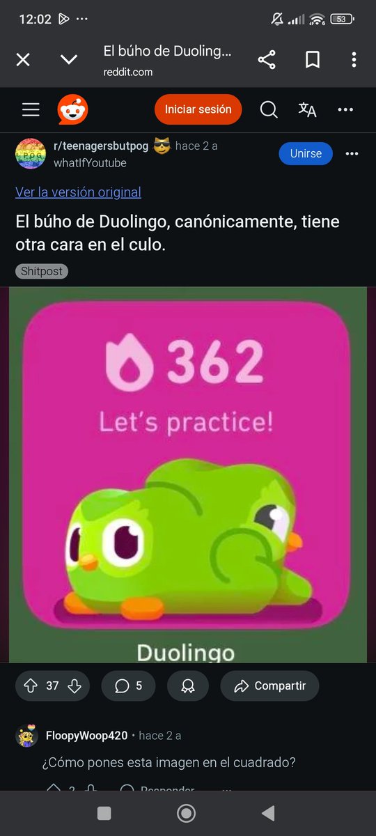 abithiaclei's tweet photo. @duolingoespanol dime qué no es verdad y que mi widget está roto o algo... Porque me pone los pelos de puntaaaaaa https://t.co/jowwqEtUBG