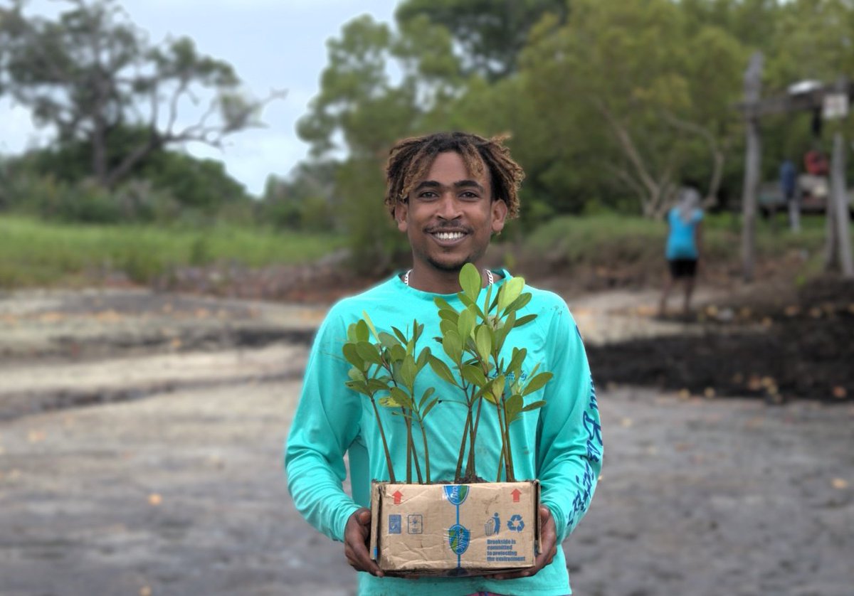 savelamu's tweet image. Through our Mangrove Restoration program, we engaged with communities in a tree planting activity in Kililana area near the Lamu Port marking a significant step in making a positive impact on our environment in collaboration with @pawankafund
#MangroveRestoration @deCOALonize