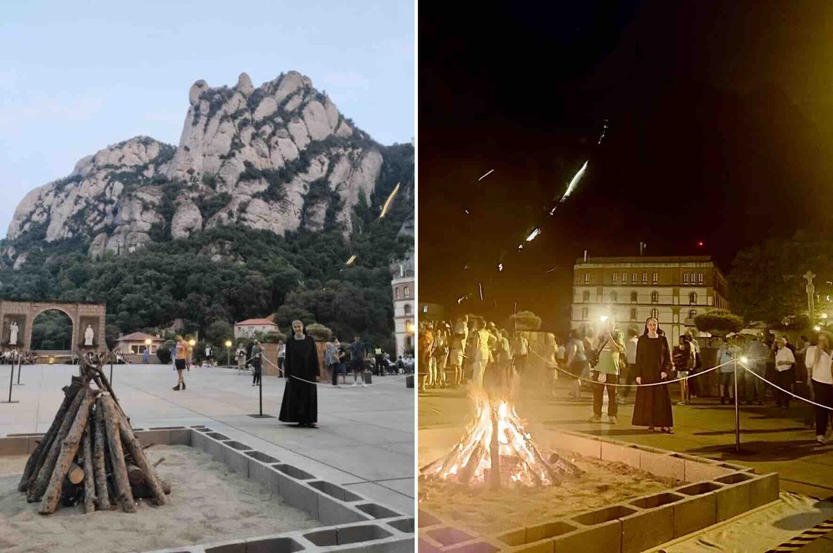 Llegit aquest article, he pensat que després del que ha fet l'Abat  de Montserrat amb la rebuda del rei espanyol, ja no hi tenim abat. Oi que els abats els voten els monjos? Pregunto: es podria votar a Teresa  Forcades com a "Abadessa de Montserrat"? vilaweb.cat/noticies/monts…