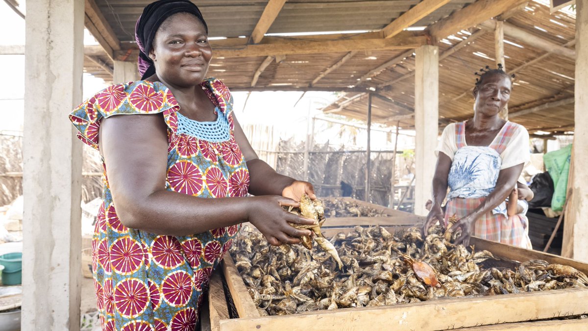 The #WACA_Program supports nine West African countries in managing shared coastal resources and protecting communities through:
☑️Policy reform
☑️Institutional support
☑️Local interventions 

Learn more: wrld.bg/WFlX50W5s6R #LivablePlanet