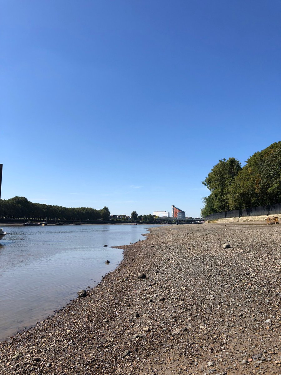 🗓️Join us on Thursday, 26th June, for a walk along the Thames foreshore as part of London Climate Action Week. We’ll start at Broomhouse Dock and end at Bishops Park. Everyone is welcome!

➡️ ow.ly/S5Qn50Wfjxg

See you then! 😊

#thames21 #westlondon