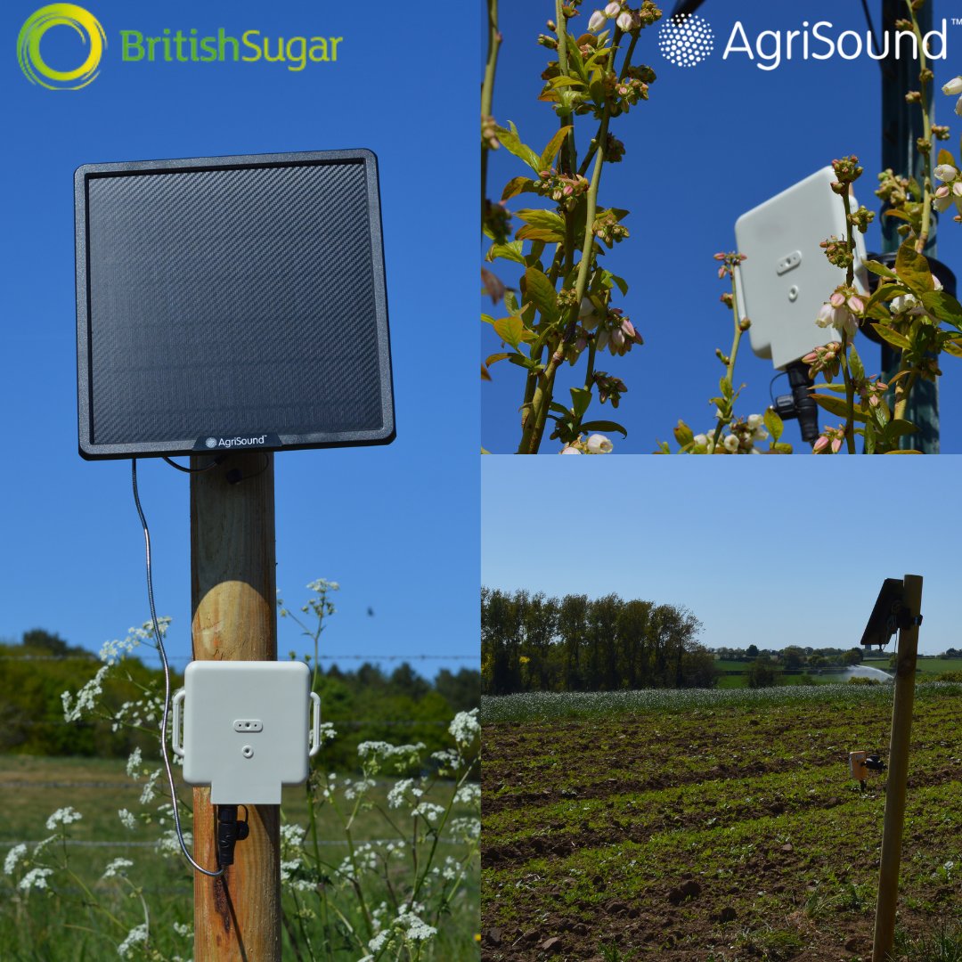 AgriSoundTech's tweet image. ๐ผ The Buzz Behind the Beet ๐ Weโre thrilled to partner with @BritishSugar on a cutting-edge pilot project to monitor pollinator activity across sugar beet farms in the UK.
Read the full story: ๐ hubs.ly/Q03tjnxQ0
#AgriSound #BritishSugar #SustainableSugar #AgriTech