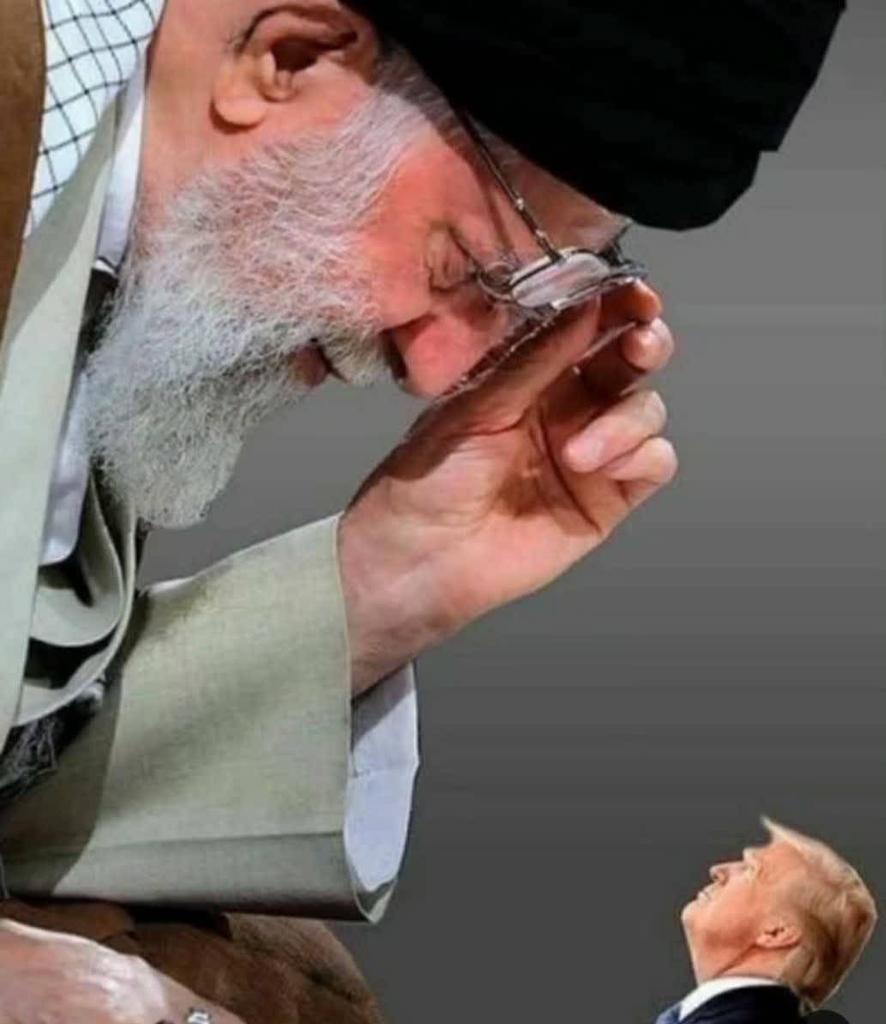 susanmarandi's tweet photo. Don't always have access to Twitter (or time/patience, lol), so I just want to put this out there: Most Iranians are severely disappointed at any form of ceasefire, however temporary, but we trust our leader implicitly.  We will do as he sees fit. We await his orders only. #Iran https://t.co/C6dYTZV5eU