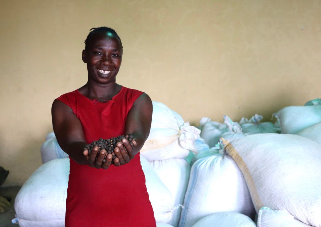 IFDCGlobal's tweet image. Karangura Peak Modern Cooperative in Uganda is transforming lives by connecting over 760 smallholder coffee farmers (43% women, 60% youth) to trusted, high-value international markets. 

Read more: buff.ly/LxKJyc9

#CoffeeValueChain #MarketAccess