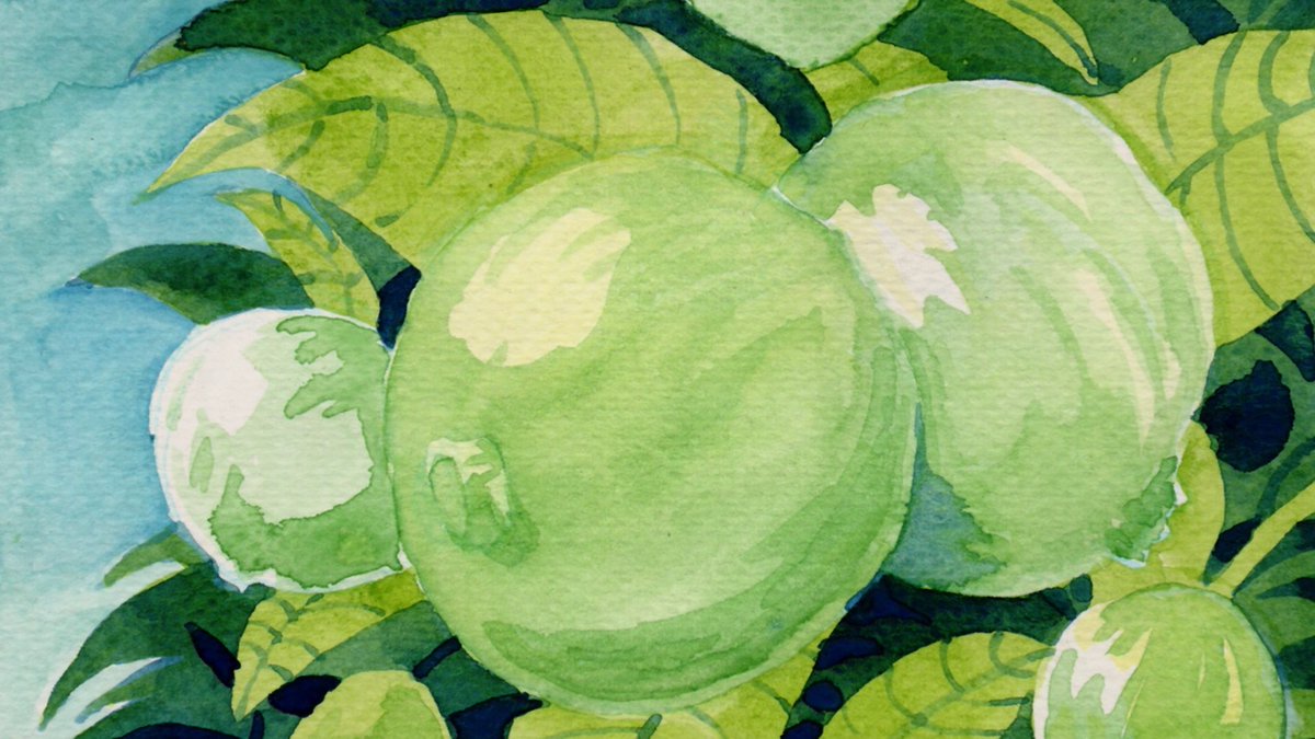 Los niños aprenden, sobre todo, a través de la imitación. Ven a un adulto sembrar, cuidar, esperar… y juegan a hacer lo mismo. 

Sigue hilo 👇🏻