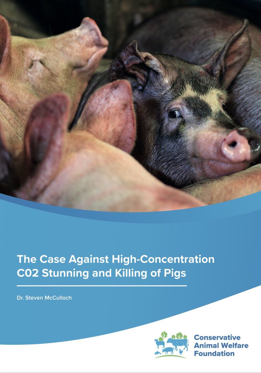 ‘The Case Against CO₂ Killing of Pigs’ - me for <a href="/ConservativeAWF/">Conservative Animal Welfare Foundation</a> 🐽

- 10 million UK pigs suffer 30-60s
- 90% #BritishPork 
- Total policy &amp; market failure
- EU PigStun #argon is practical humane alternative
- Government must #ban CO₂

…nservativeanimalwelfarefoundation.org/wp-content/upl…