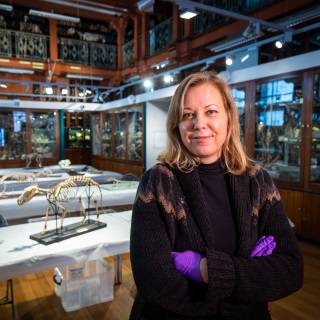 UCL Institute for Sustainable Heritage tweet media