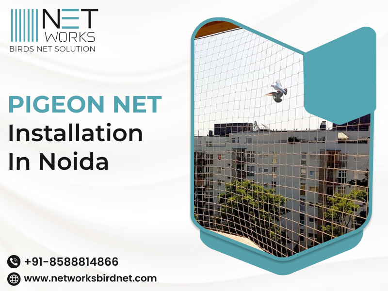networksbirdnet's tweet image. Networks Bird Net offers durable, high-quality bird netting solutions for balconies, windows, AC units, and open spaces.
Call now for Pigeon net installation in Noida!
Visit: posts.gle/dT9LkN
#PigeonNetInstallation #BirdNetNoida #NetworksBirdNet #BirdControlNoida
