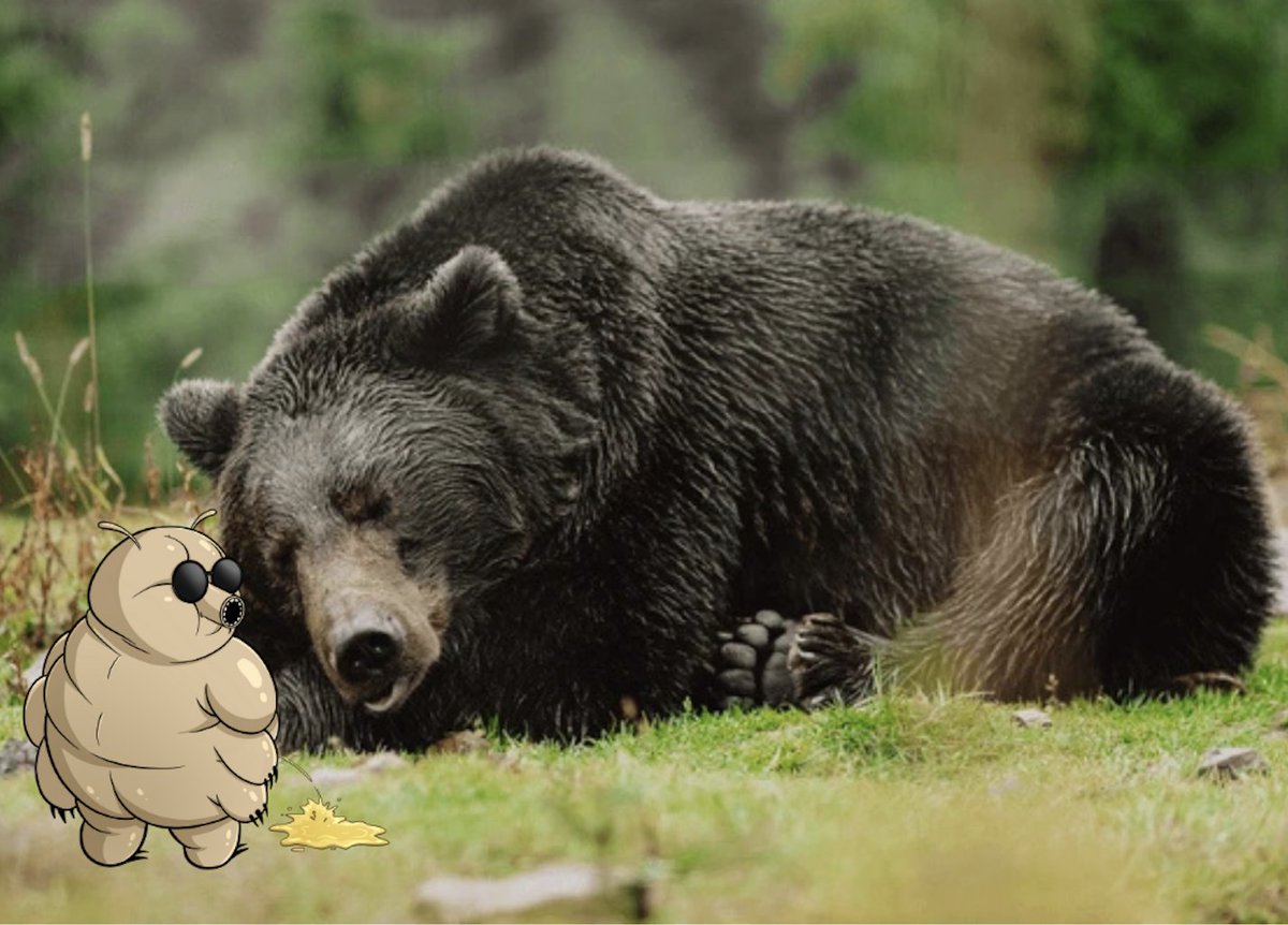 Respect is earned, ser🍹

Bears don’t qualify.