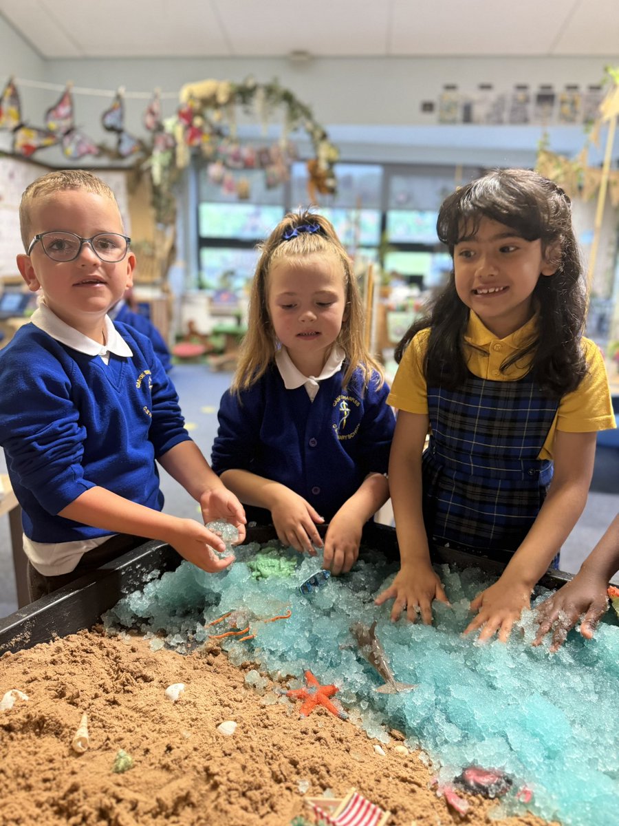 Canon Sharples Reception (@canon_reception) on Twitter photo Reception are having lots of fun βOn the Beachβ ποΈππ¦π¦π <a href="/Cornerstonesedu/">Cornerstones Education</a> #EYFS <a href="/CanonSharples/">Canon Sharples CE Primary School and Nursery</a> <a href="/LT_Trust/">Learning Together Trust</a> Reception are having lots of fun βOn the Beachβ ποΈππ¦π¦π <a href="/Cornerstonesedu/">Cornerstones Education</a> #EYFS <a href="/CanonSharples/">Canon Sharples CE Primary School and Nursery</a> <a href="/LT_Trust/">Learning Together Trust</a>