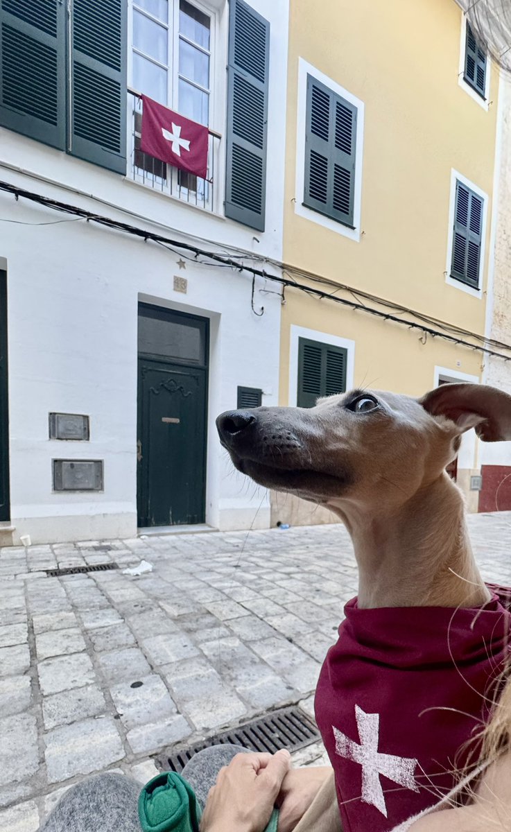 xxinxeta's tweet photo. Quin Sant Joan més diferent…
Des d’una altra perspectiva, observant i visquent altres moments de sa festa 

https://t.co/dmtVcfL7vz

Amb es cor ple i amb calma 💛#amarija

Bon migdia, éssers del món
✨175 https://t.co/hxZEElXzC4