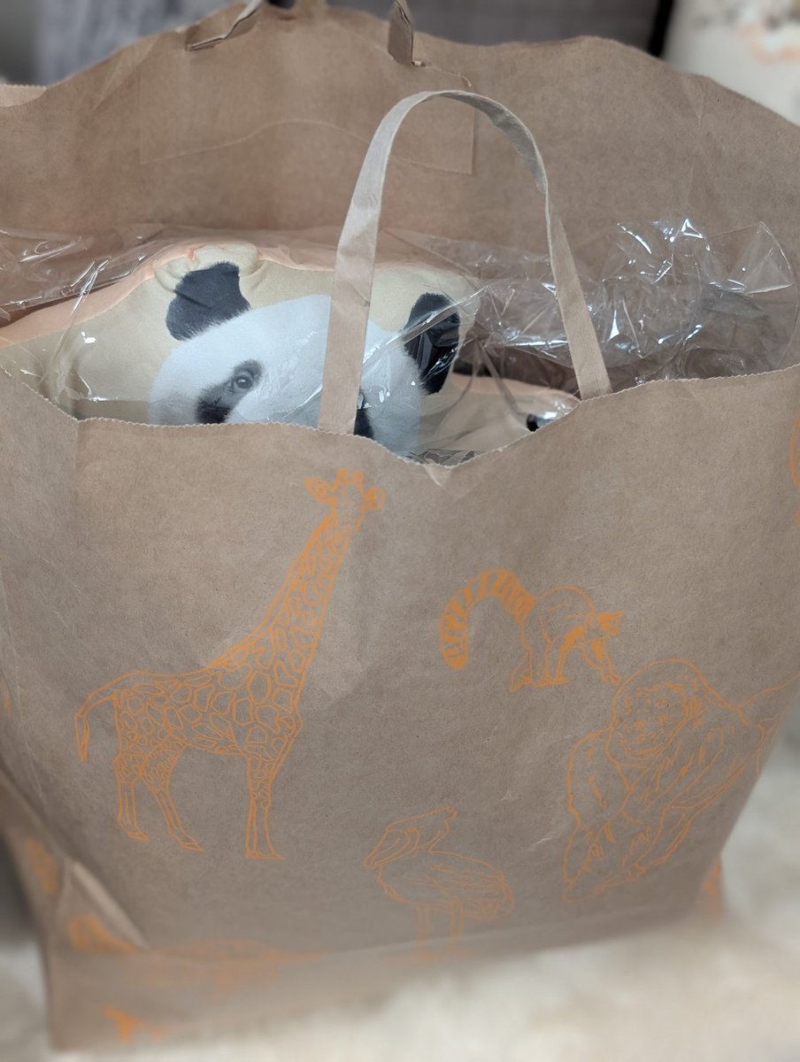 hatarakiman5051's tweet photo. シャオレイちゃん🐼🐼4歳グッズをたくさん買い���したがクッション2個は大きい🛍️でピッタリ😆👍
後ろもkawaii⁹😍
でもまだ買い残しが😅
クッションだらけになってどうしましょう💦
#シャオレイちゃん4歳グッズ
#上野動物園 https://t.co/lBgmUrp4rb