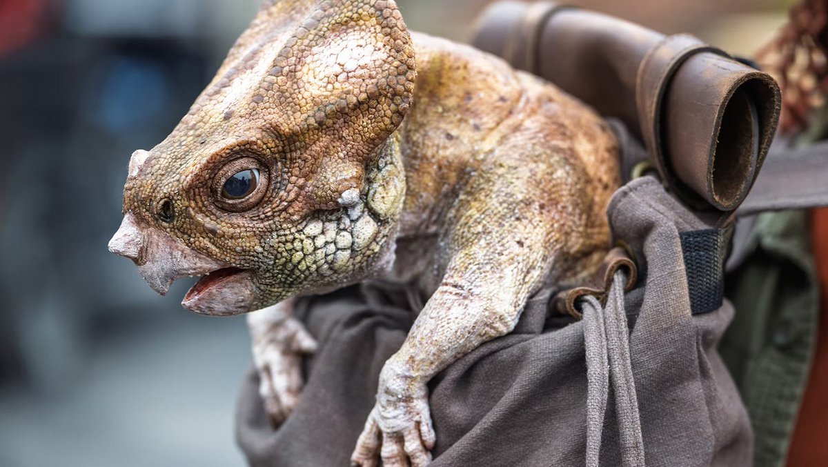 速報】 期間限定でドロレス・ザ・アクイロプスとのグリーティングが