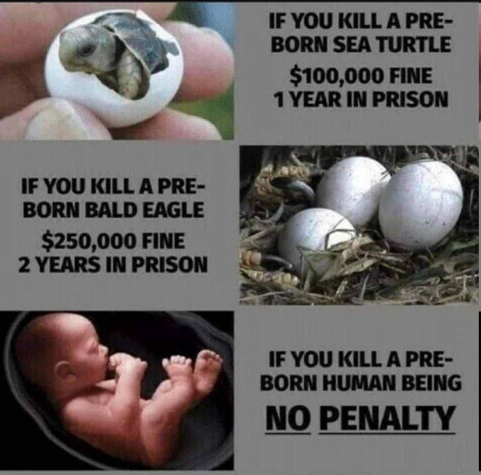 Its fuckin mental.