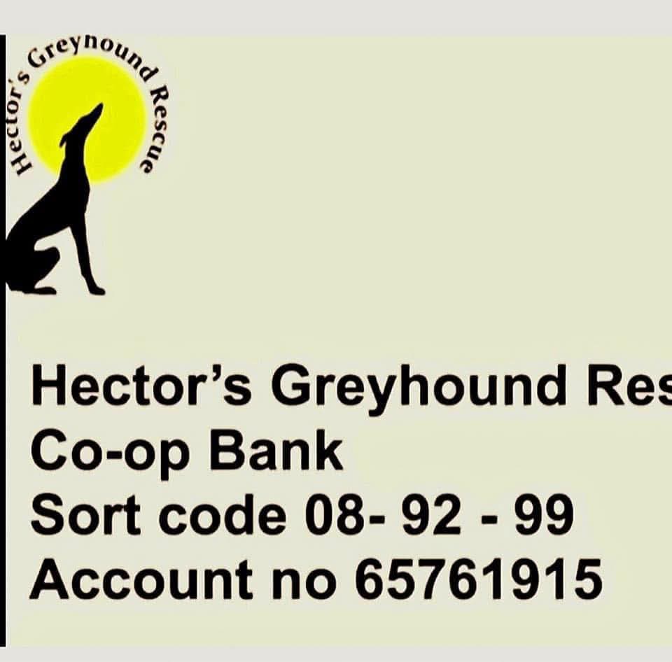 💔 We Need Your Help &amp; Kindness 💔

We recently rescued four beautiful greyhounds who were in a far worse state than we ever anticipated. Since we brought them in, the vet costs have been rising - dental treatment, medication, check-ups - you name it. 🩺🐶