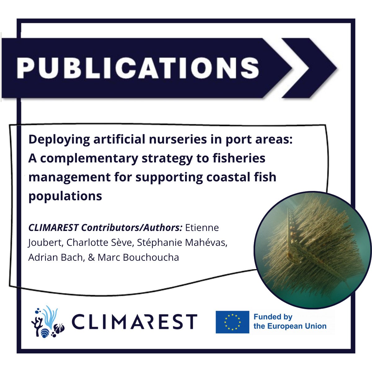 #Publication 🔟Deploying artificial nurseries in port areas: A complementary strategy to fisheries management for supporting coastal fish populations

🐠 First ever quantitative analysis of fish nursery habitat rehabilitation in ports

Learn more here!⬇️
climarest.eu/blogs/can-arti…
