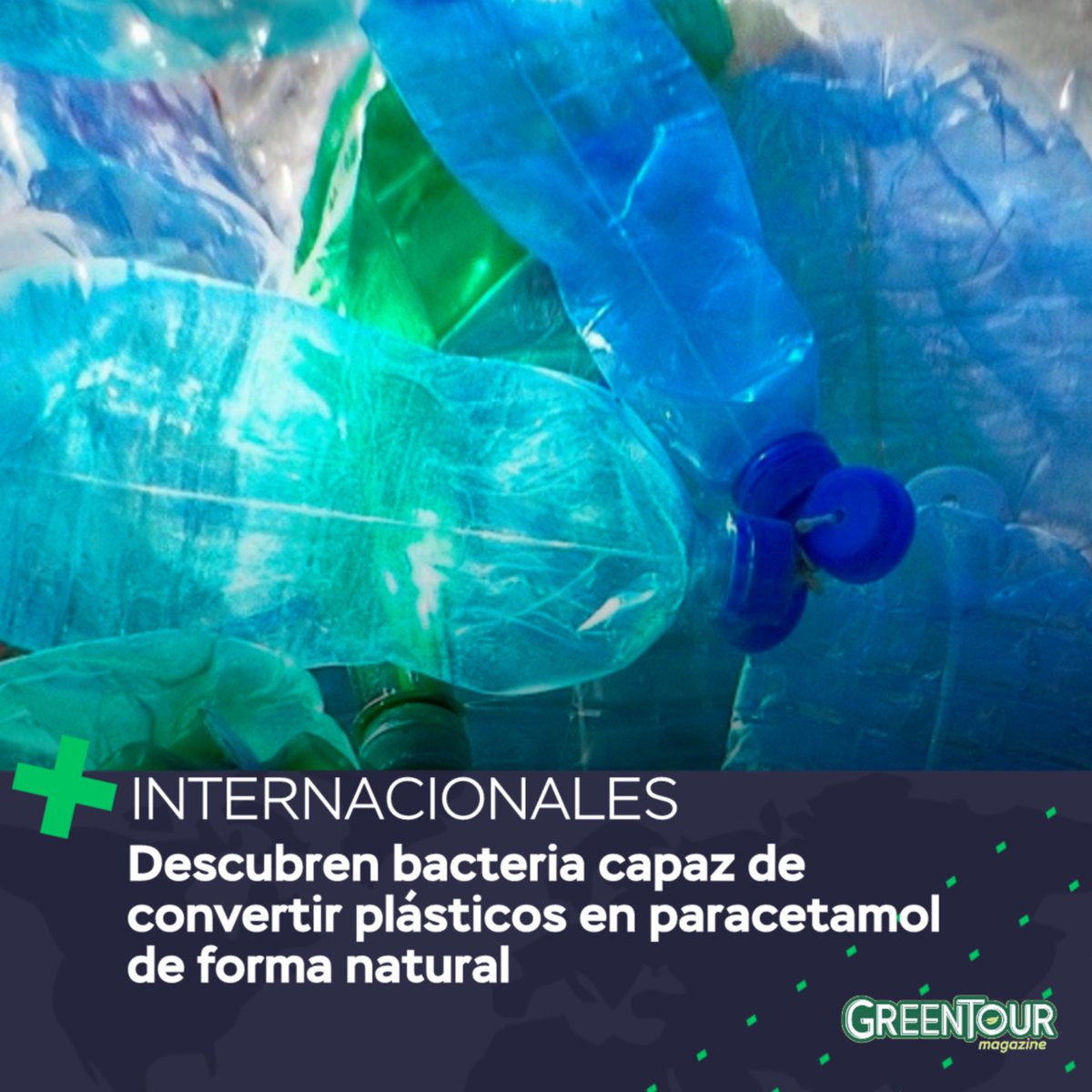 Un equipo de científicos de la Universidad de Edimburgo, en el Reino Unido, logró una innovación sin precedentes: transformar residuos plásticos en paracetamol utilizando bacterias vivas. El hallazgo, publicado en la prestigiosa revista Nature, representa un avance significativo