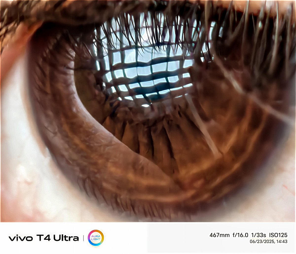 photublogger's tweet image. Vivo T4 Ultra MACRO Shot 

#vivot4ultra