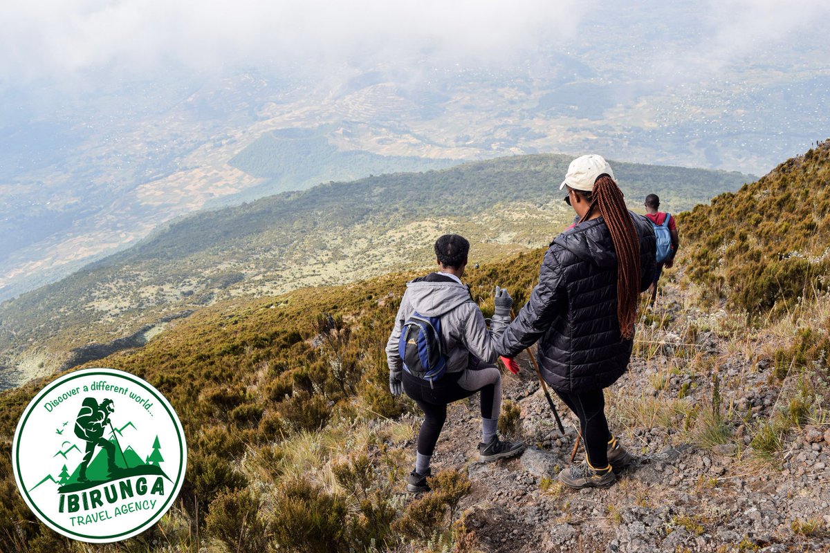 IbirungaTravelA's tweet photo. Conquer Muhabura volcano! ⛰️ Explore breathtaking trails and find your epic adventure. Book your hike today! 
☎️ +250791234288
#Muhabura #VolcanoHiking #AdventureAwaits #trail #hiking  #mountain https://t.co/XtoFe82gl7