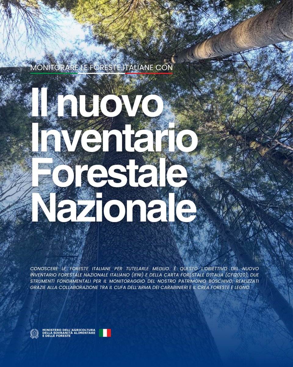 SocialMasaf's tweet image. Grazie alla collaborazione tra il CUFA dell’Arma dei Carabinieri e il CREA Foreste e Legno, sono stati aggiornati l'Inventario Forestale Nazionale Italiano (IFNI) e la Carta Forestale d’Italia (CFI2020), con l'obiettivo di monitorare e proteggere il nostro patrimonio boschivo.🇮🇹