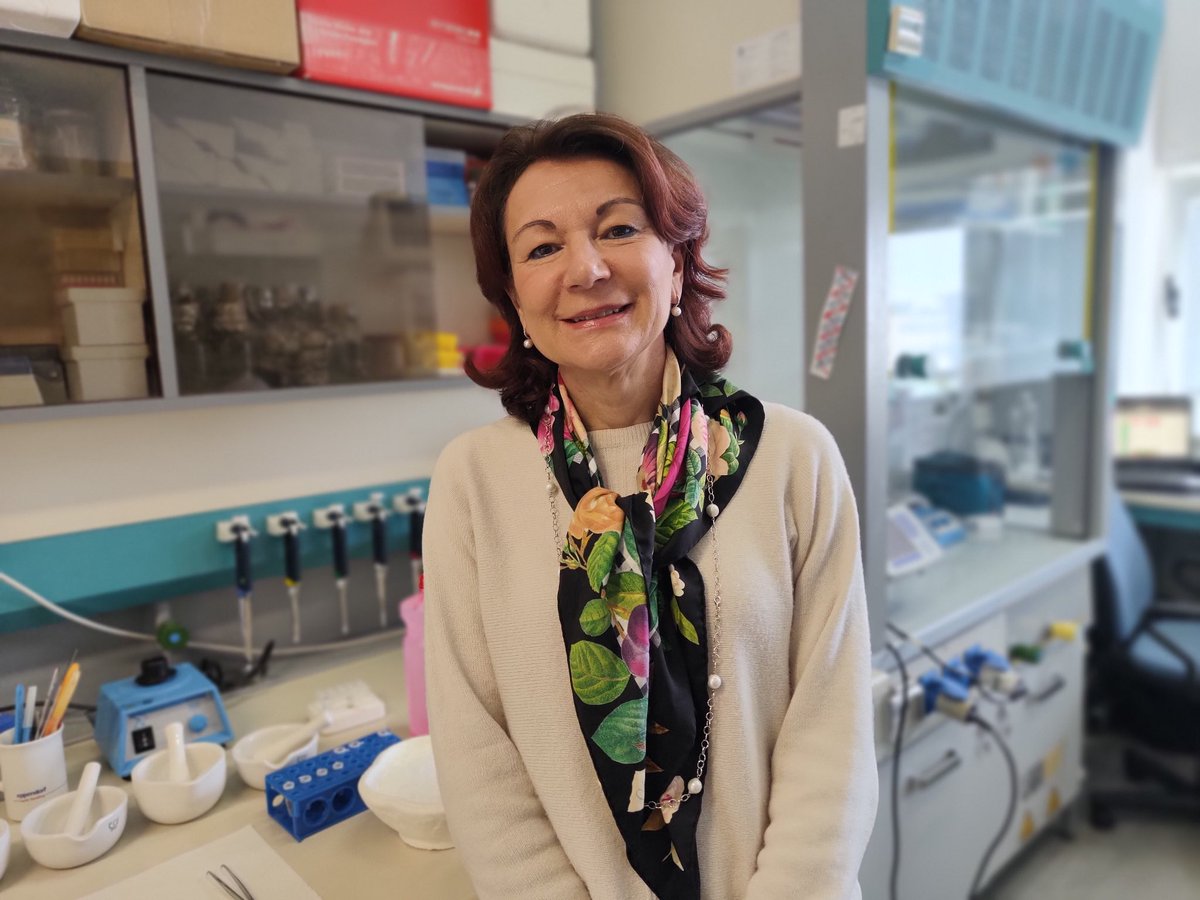 Cristina Bellon (@cristinabellon4) on Twitter photo #kineomicina : stop all’antibiotico resistenza. Una ricerca firmata <a href="/Uni_Insubria/">Uninsubria</a> , Università Tecnica di Berlino, <a href="/unibielefeld/">Bielefeld University</a>
Leggi l’articolo su #Innlifes :
innlifes.com/biotech/kineom… #kineomicina : stop all’antibiotico resistenza. Una ricerca firmata <a href="/Uni_Insubria/">Uninsubria</a> , Università Tecnica di Berlino, <a href="/unibielefeld/">Bielefeld University</a>
Leggi l’articolo su #Innlifes :
innlifes.com/biotech/kineom…