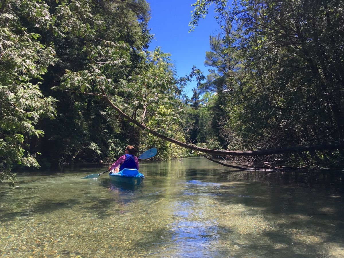 VisitGlenArbor's tweet photo. Visit Glen Arbor - Summer is here! https://t.co/m8fS3dji6e https://t.co/k6U1ogR8qK