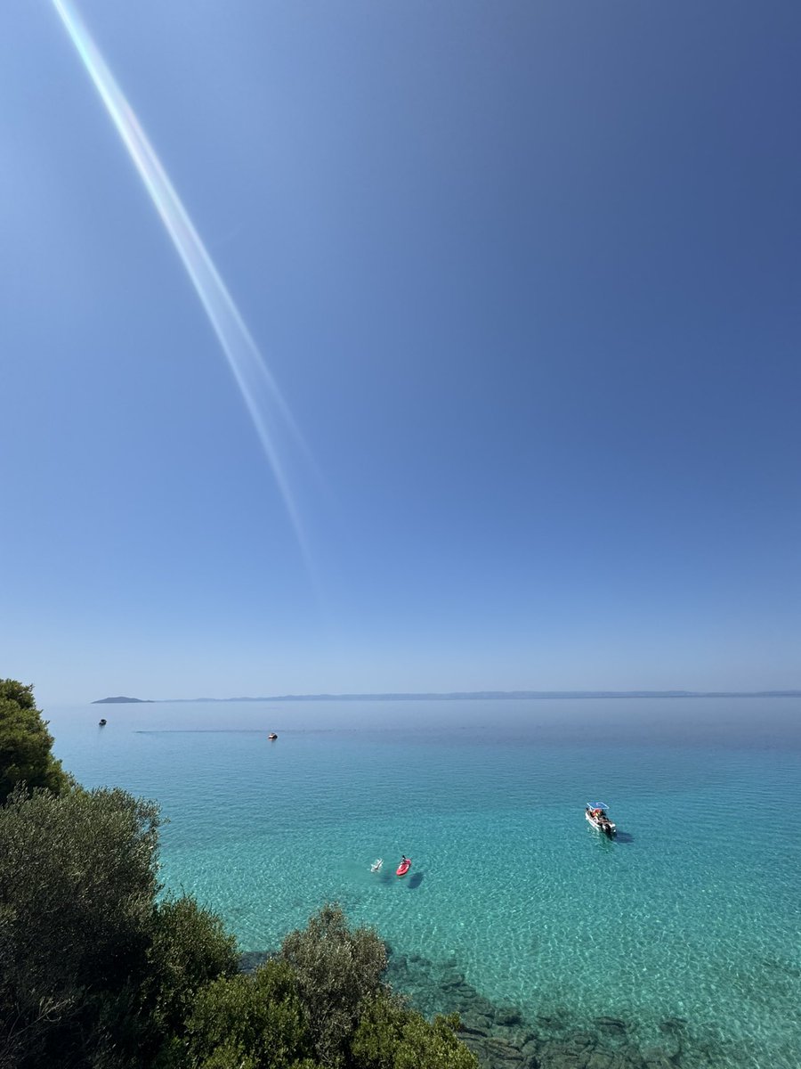 Šuntavilo tweet media