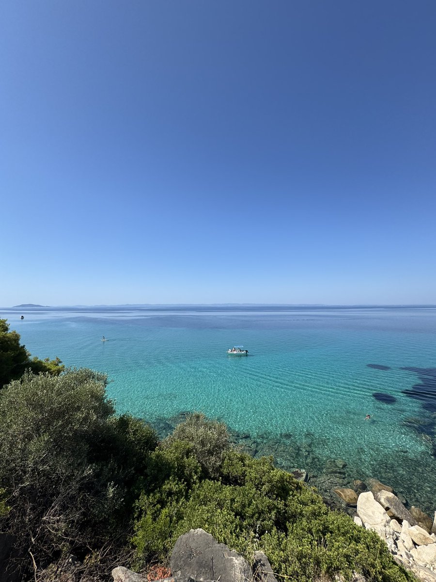 Šuntavilo tweet media