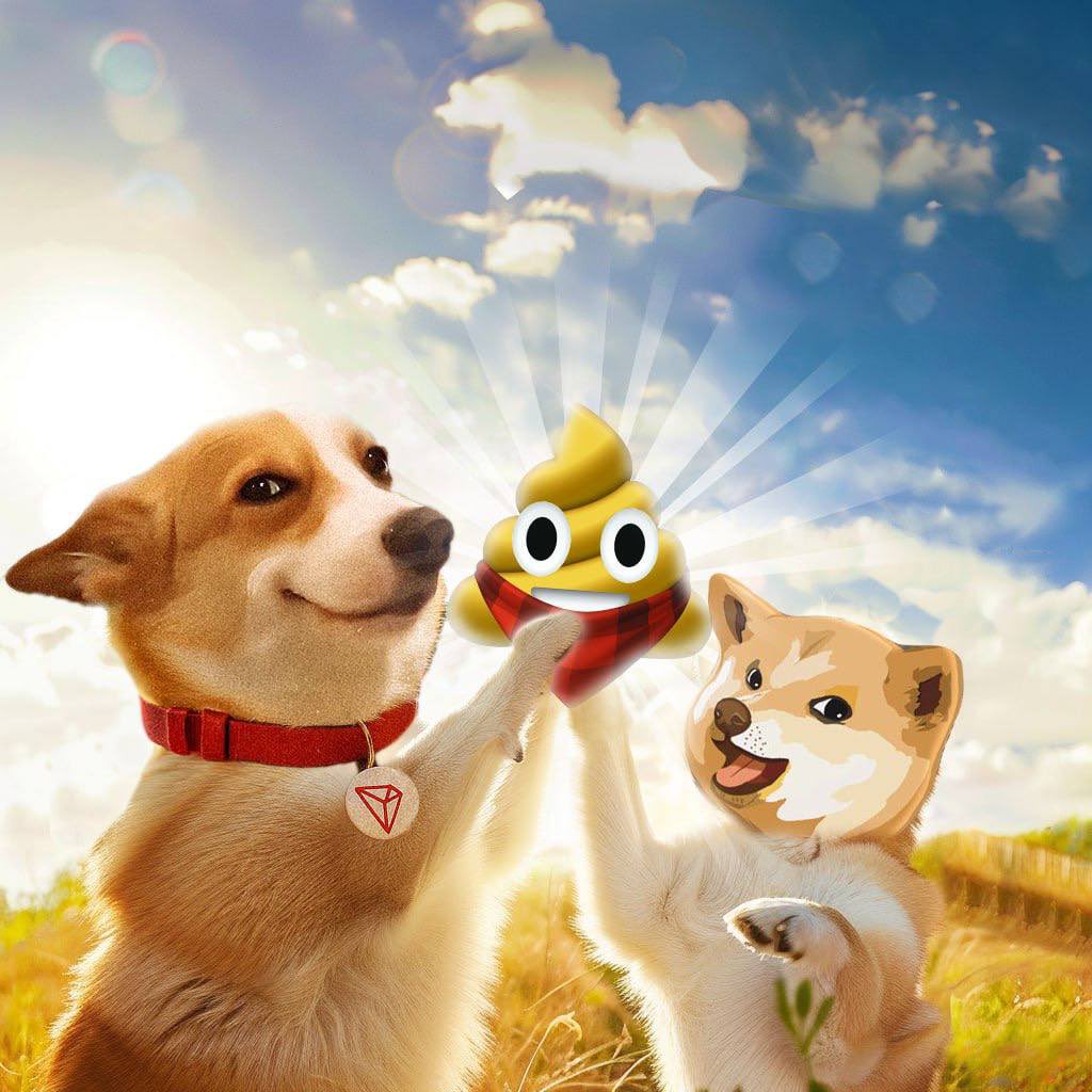 Diezentee13's tweet photo. @justinsuntron $SUNDOG type shii https://t.co/ZCXrovpWAh