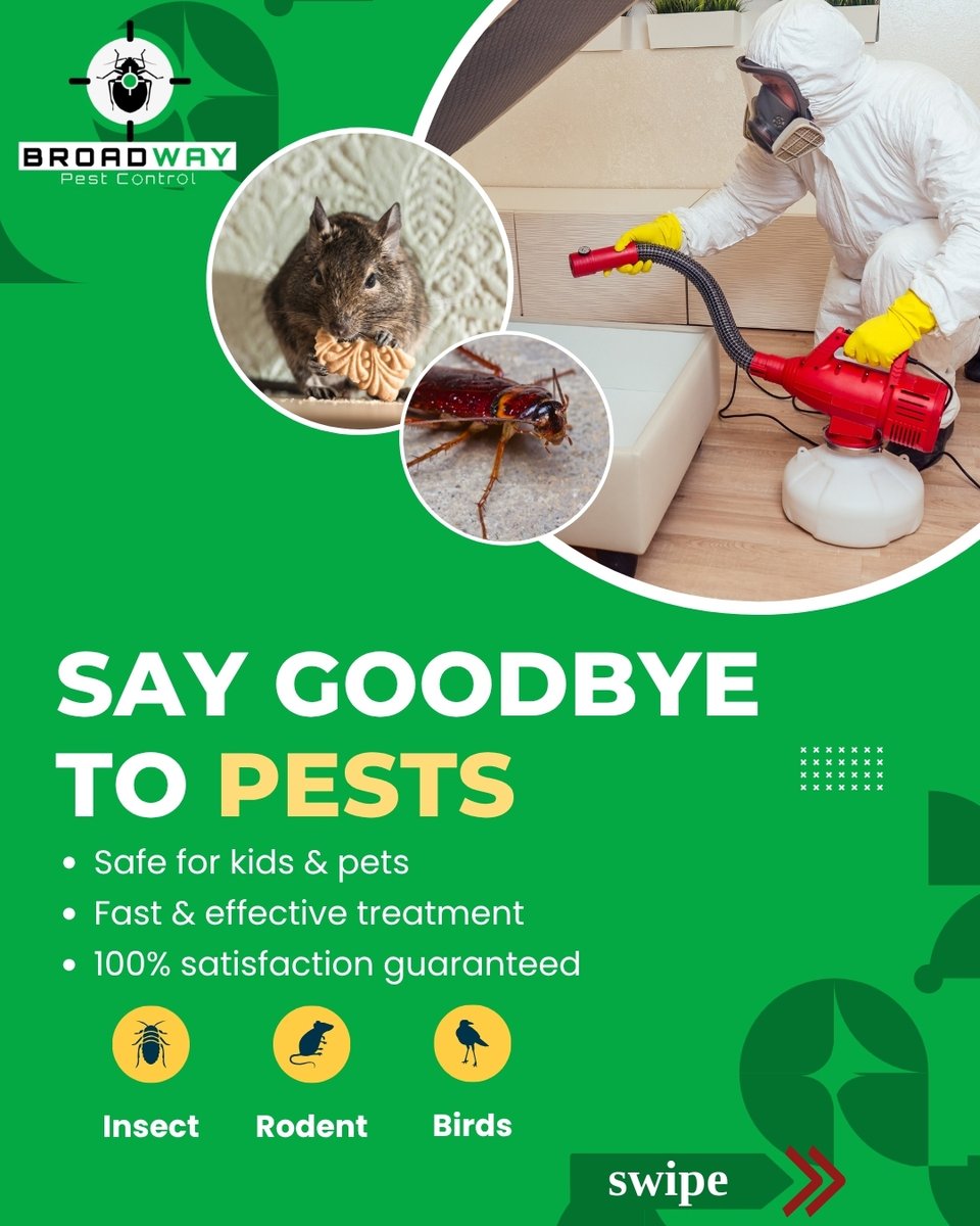 BroadPest93579's tweet image. Tired of sharing your home with unwanted guests? 🐜🏠
From ants to rodents — we’ve got your back with fast, safe, and effective pest control solutions.

☎+1 236-668-4372
🌐 broadwaypestcontrol.ca

#PestFreeHome #ResidentialPestControl #BroadwayPestControl #SafePestSolutions