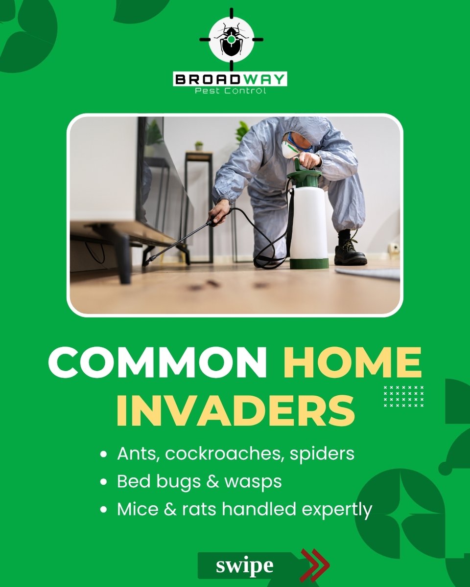BroadPest93579's tweet image. Tired of sharing your home with unwanted guests? 🐜🏠
From ants to rodents — we’ve got your back with fast, safe, and effective pest control solutions.

☎+1 236-668-4372
🌐 broadwaypestcontrol.ca

#PestFreeHome #ResidentialPestControl #BroadwayPestControl #SafePestSolutions
