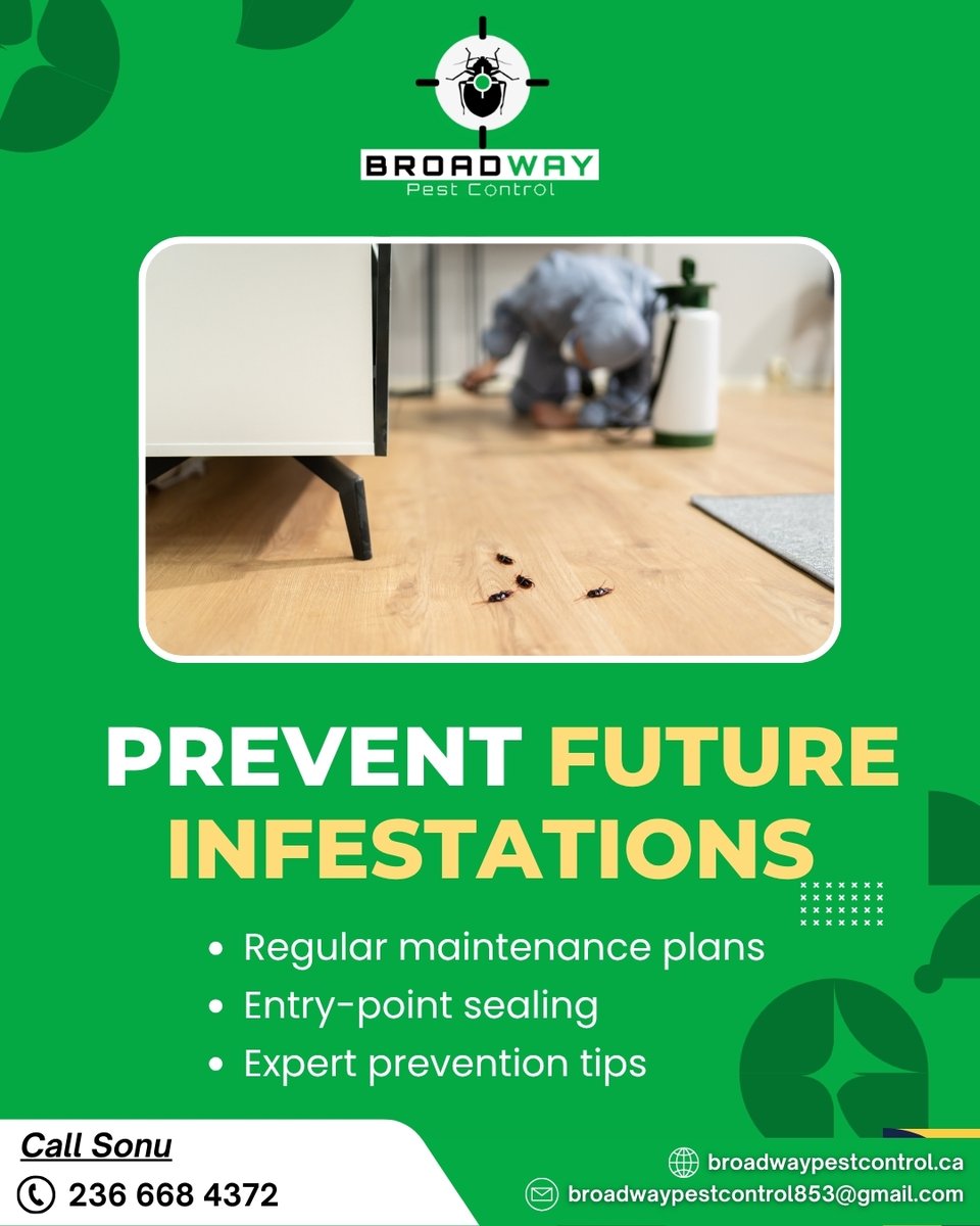 BroadPest93579's tweet image. Tired of sharing your home with unwanted guests? 🐜🏠
From ants to rodents — we’ve got your back with fast, safe, and effective pest control solutions.

☎+1 236-668-4372
🌐 broadwaypestcontrol.ca

#PestFreeHome #ResidentialPestControl #BroadwayPestControl #SafePestSolutions