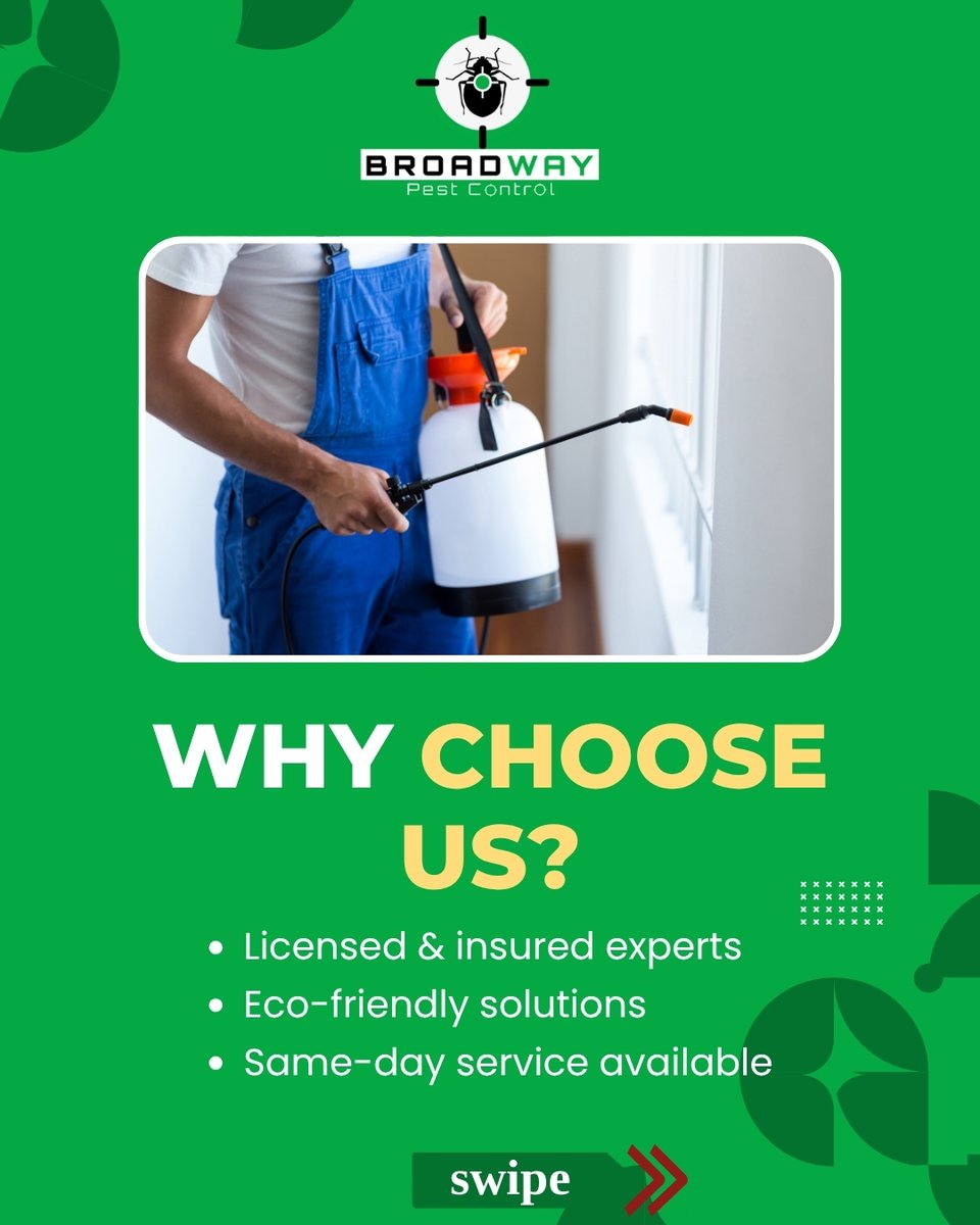 BroadPest93579's tweet image. Tired of sharing your home with unwanted guests? 🐜🏠
From ants to rodents — we’ve got your back with fast, safe, and effective pest control solutions.

☎+1 236-668-4372
🌐 broadwaypestcontrol.ca

#PestFreeHome #ResidentialPestControl #BroadwayPestControl #SafePestSolutions